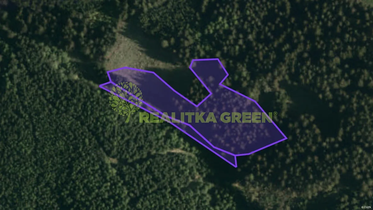 Prodej lesa 9912 m²