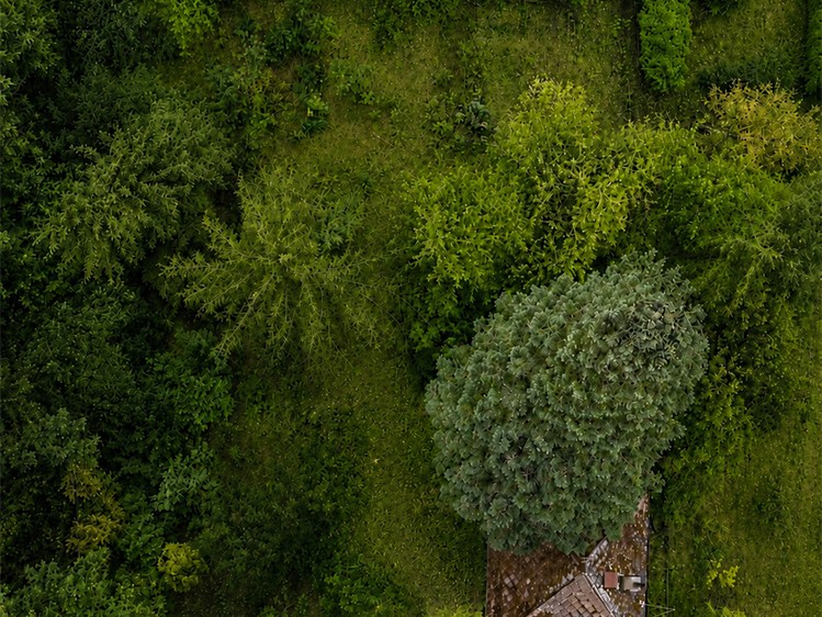 Grundstück zum Kauf, 1.165 m² (5 von 15)