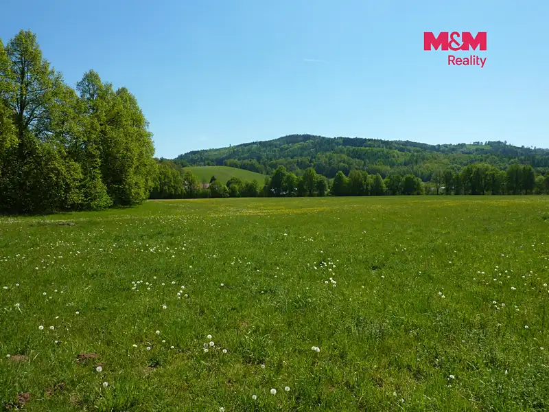 Prodej louky 26090 m², Vysoká Srbská – náhled fotky 3