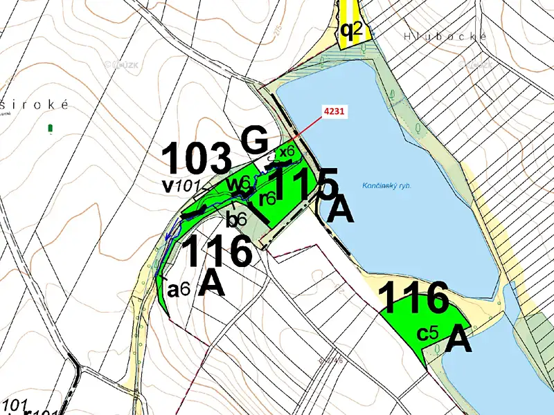 Dražba lesa 2407 m², Dobříkov – náhled fotky 3