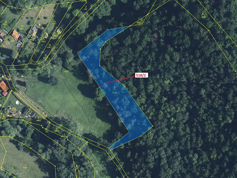Dražba lesa 2957 m², Malé Březno – náhled fotky 2
