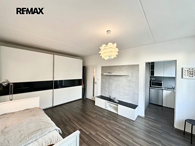 Wohnung 1+1 zur Miete, 29 m² (2 von 15)