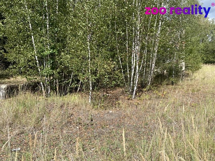 Prodej nemovitosti, 135 m² (13 z 16)