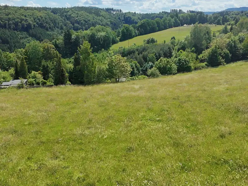 Prodej stavebního pozemku 7359 m², Hrádek – náhled fotky 2