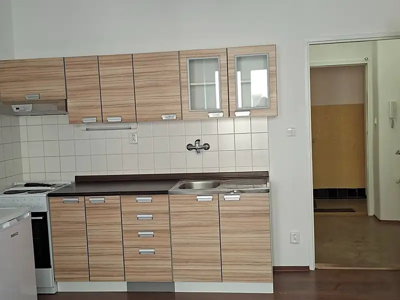 Pronájem bytu 1+kk 28 m², Praha – náhled fotky 2