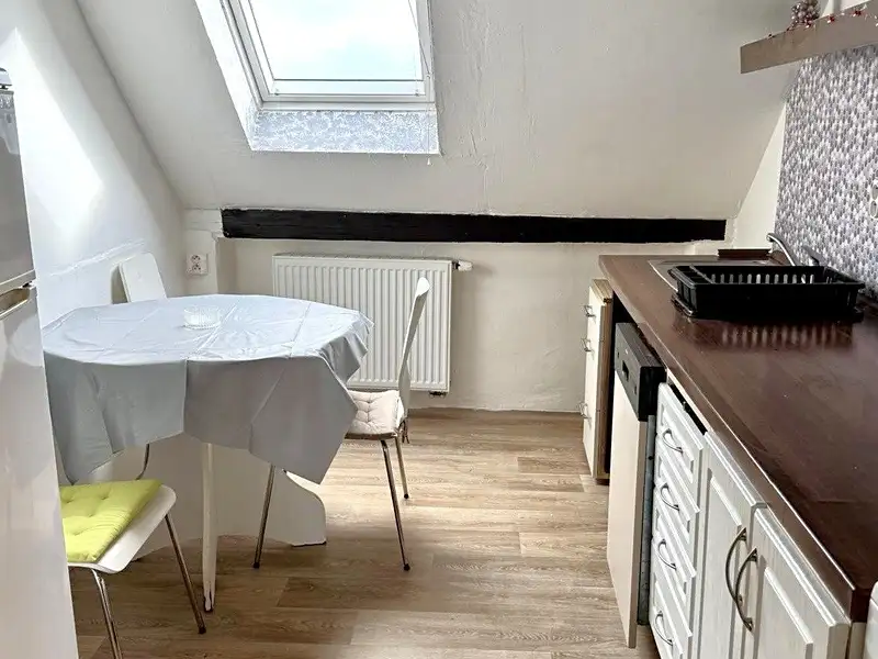 Pronájem bytu 2+1 46 m², Chodová Planá – náhled fotky 1