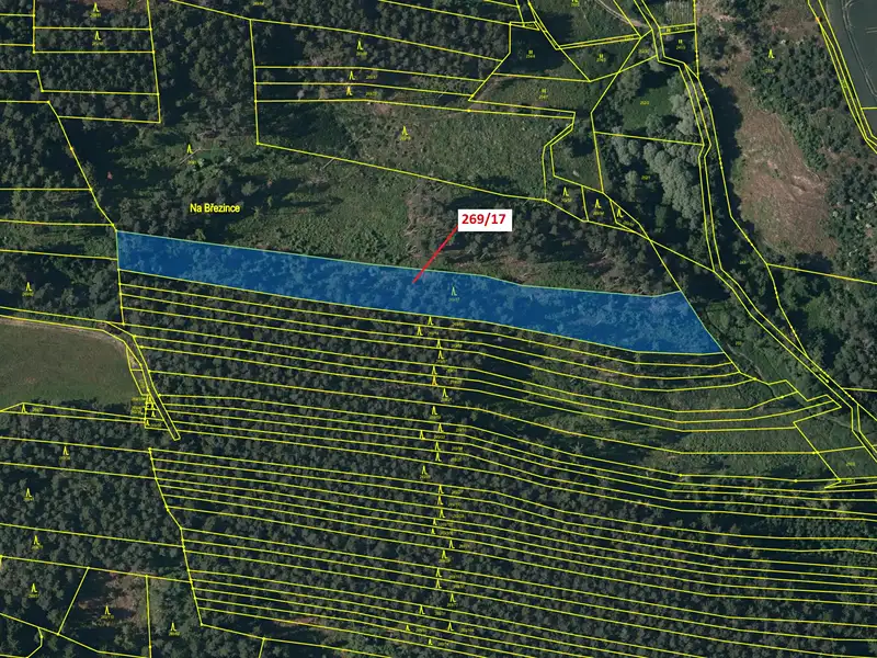 Dražba lesa 7469 m², Břežany – náhled fotky 2