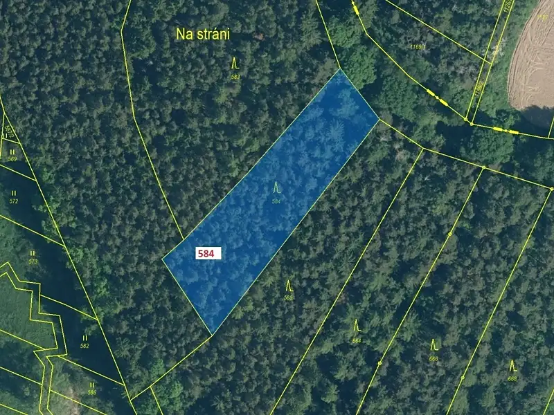 Dražba lesa 2657 m², Kovčín – náhled fotky 2