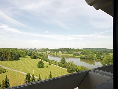 Pronájem komerčního prostoru, 289 m² (2 z 4)