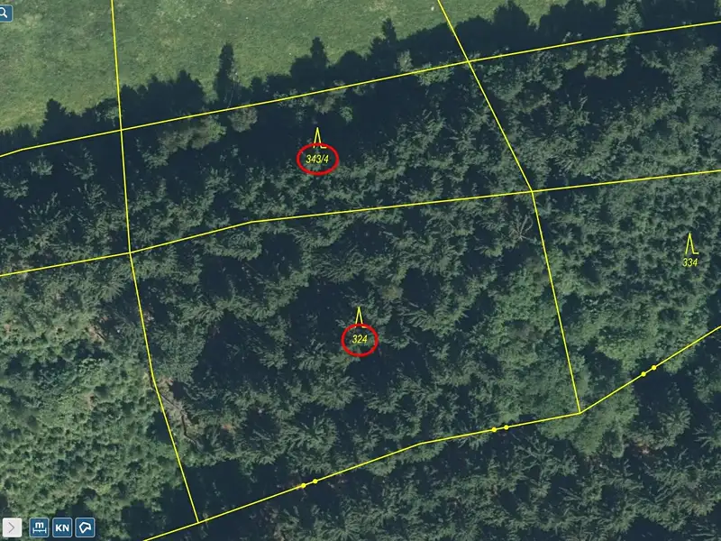Prodej lesa 6298 m², Mnichov – náhled fotky 2