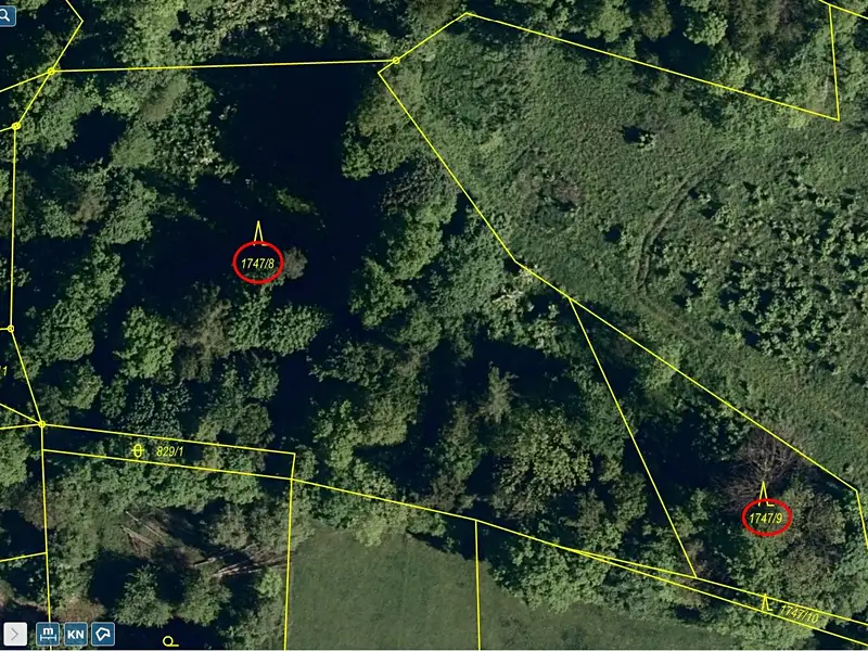 Prodej lesa 7376 m², Hodslavice – náhled fotky 3
