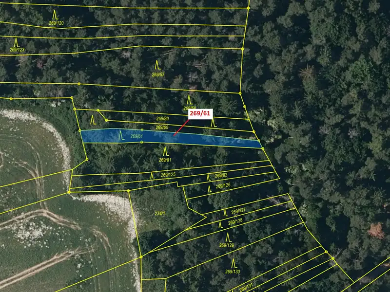 Dražba lesa 425 m², Břežany – náhled fotky 2