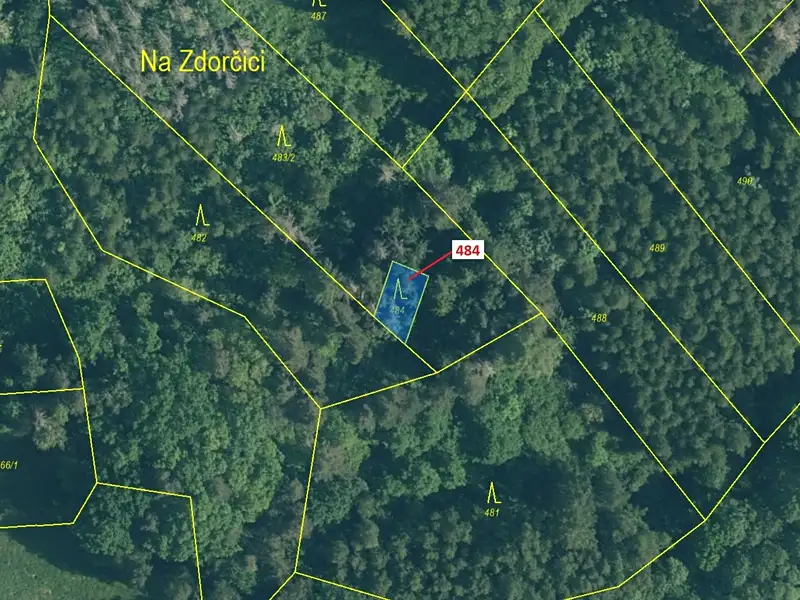 Dražba lesa 90 m², Zavlekov – náhled fotky 2