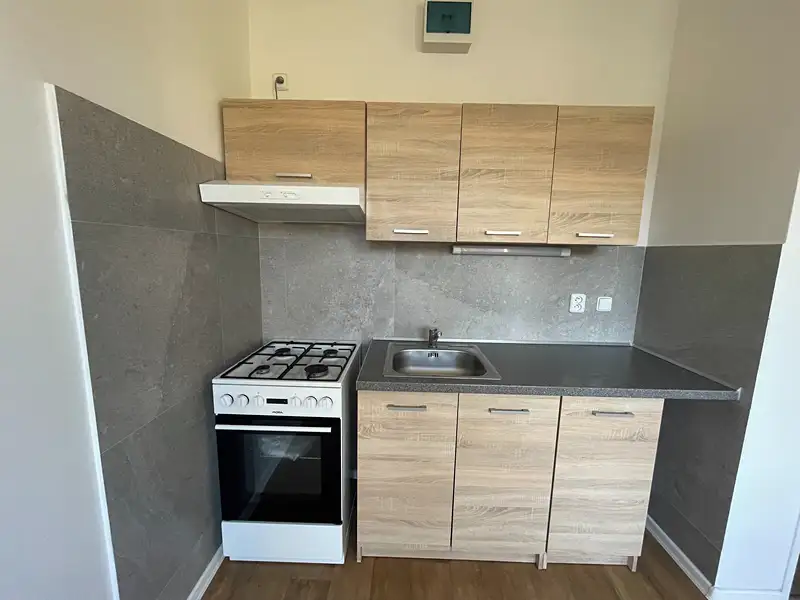 Pronájem bytu 1+1 37 m², Děčín – náhled fotky 1