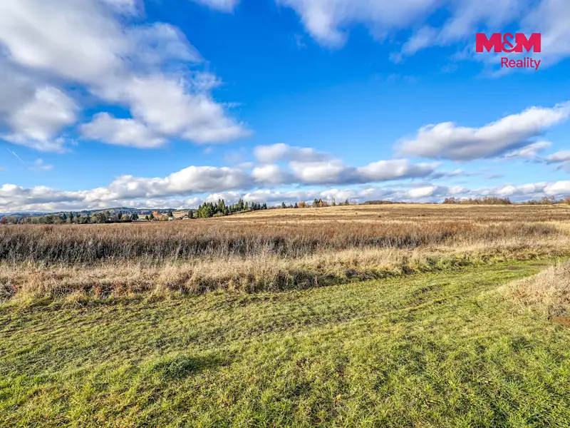 Prodej komerčního pozemku 4027 m², Tachov – náhled fotky 3