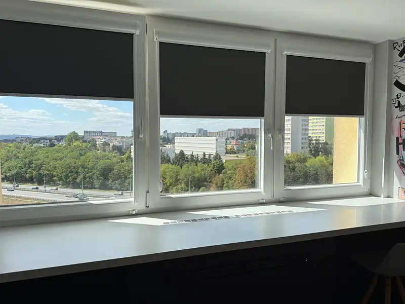 Pronájem bytu 1+kk 24 m², Praha – náhled fotky 3