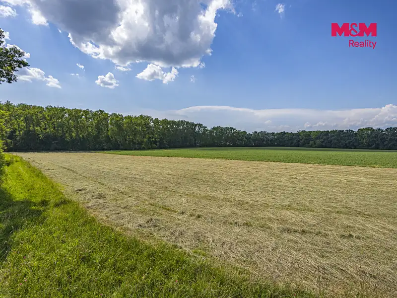 Prodej lesa 11971 m², Bohuslavice – náhled fotky 3