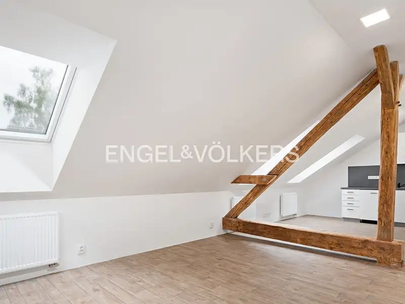 Pronájem bytu 1+kk 49 m², Plzeň – náhled fotky 2