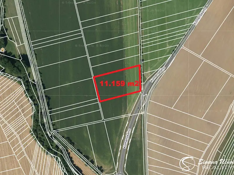 Prodej pole 11159 m², Rájec-Jestřebí – náhled fotky 2