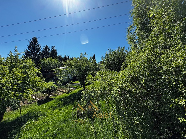 Ostatní