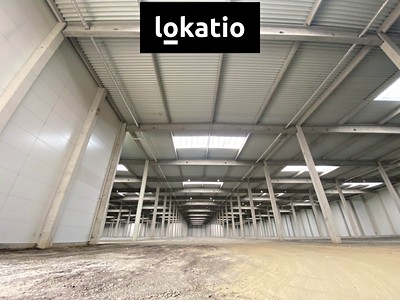 Gewerbefläche zur Miete, 3.404 m² (2 von 9)