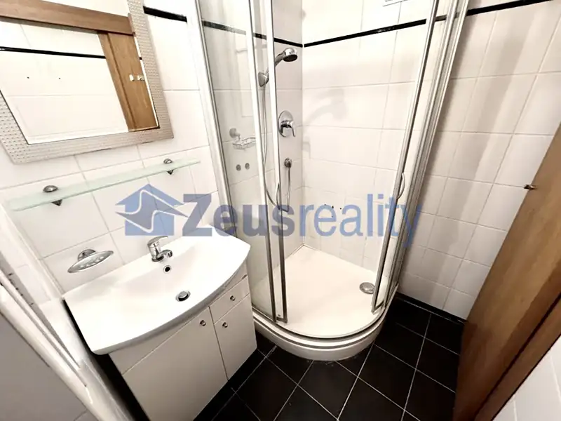 Pronájem bytu 2+kk 65 m², Praha – náhled fotky 3