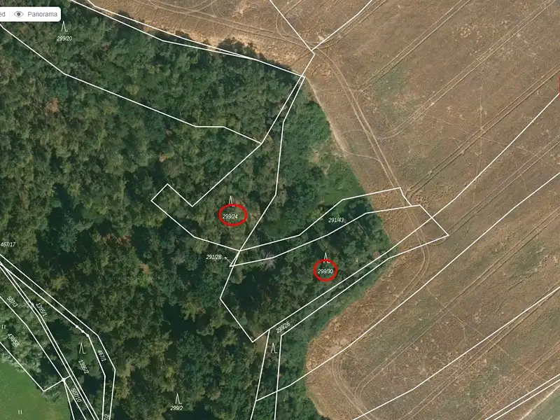 Prodej lesa 3180 m², Kaceřov – náhled fotky 2