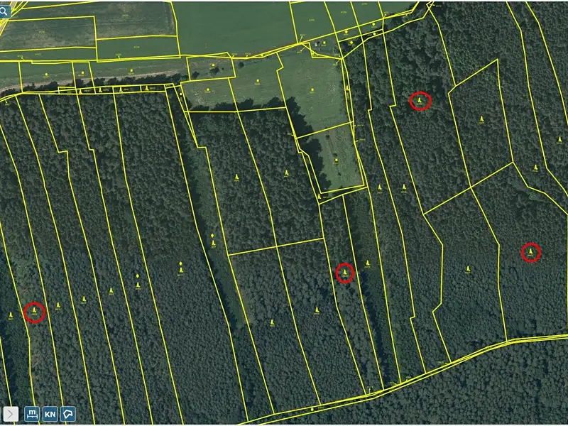 Prodej lesa 41358 m², Hromnice – náhled fotky 3