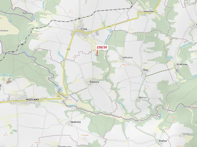 Dražba lesa 1924 m², Břežany – náhled fotky 1