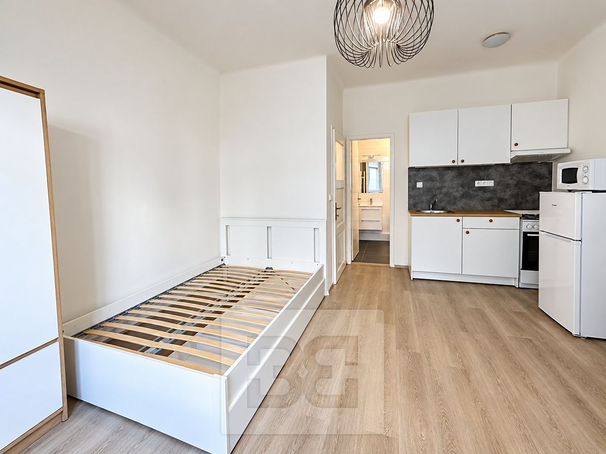 Pronájem bytu 1+kk 27 m² – fotografie 2
