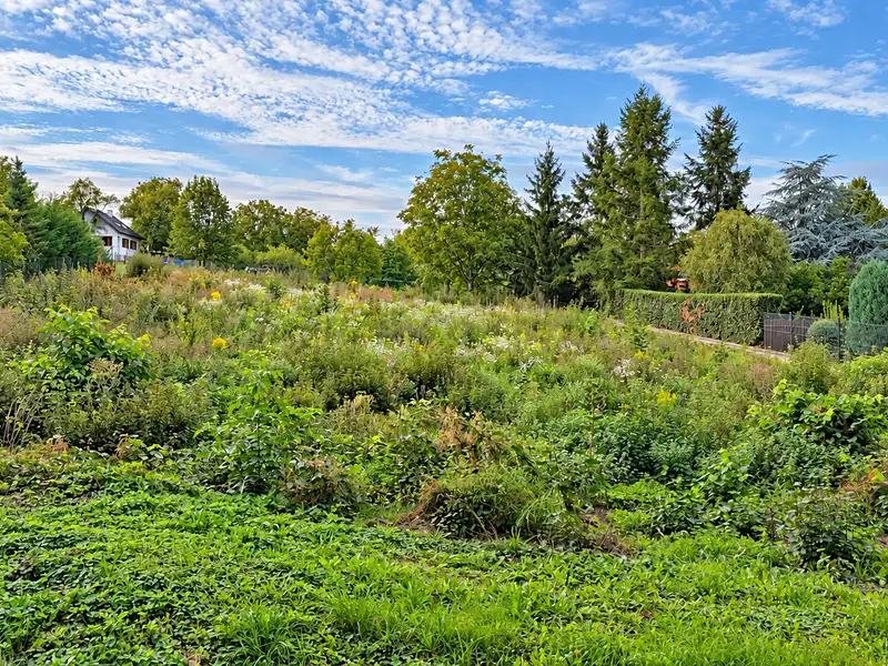Prodej stavebního pozemku 1816 m², Černošice – náhled fotky 3