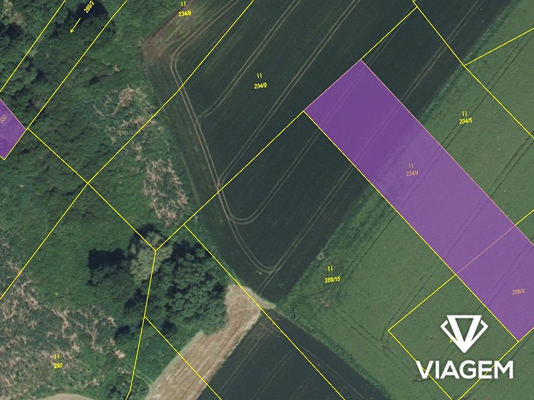 Prodej pozemku, 3 155 m² (4 z 4)