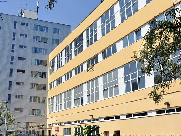 Комерційне приміщення в оренду, 313 м² (6 з 6)