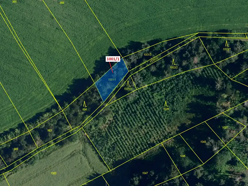 Dražba pozemku 346 m², Březí nad Oslavou – náhled fotky 2