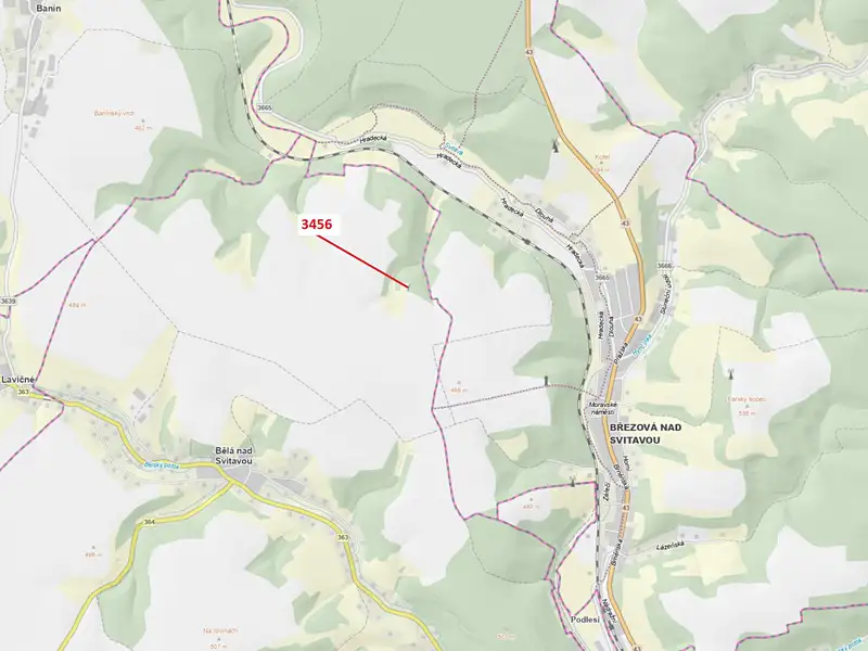 Dražba lesa 212 m², Bělá nad Svitavou – náhled fotky 1