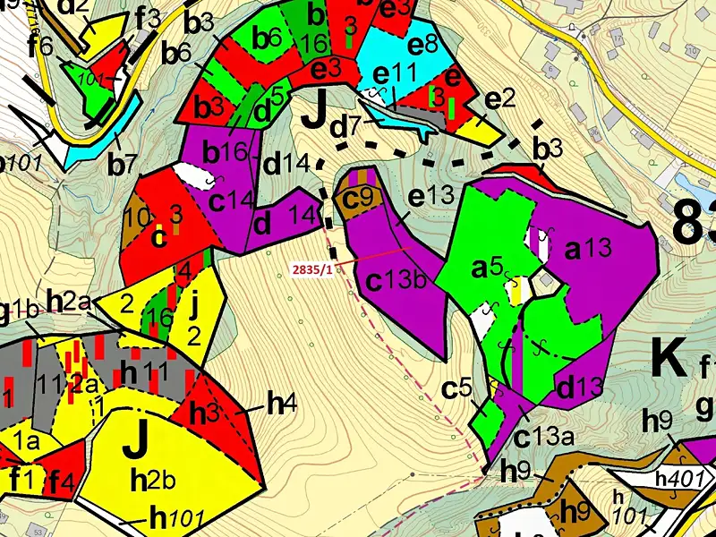 Dražba lesa 2117 m², Český Dub – náhled fotky 3