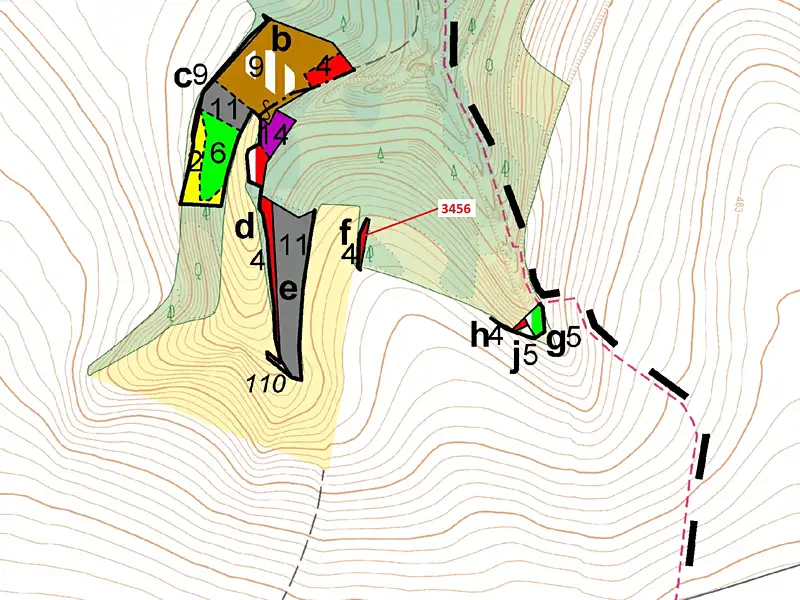 Dražba lesa 212 m², Bělá nad Svitavou – náhled fotky 3