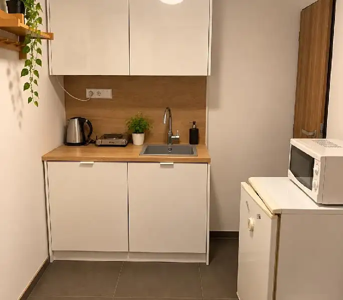 Prodej bytu 1+kk 20 m², Brno – náhled fotky 3