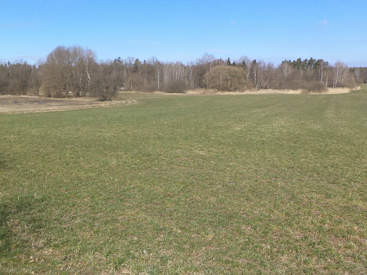 Dražba pole 5200 m², Stříbřec – fotka 1 z 3