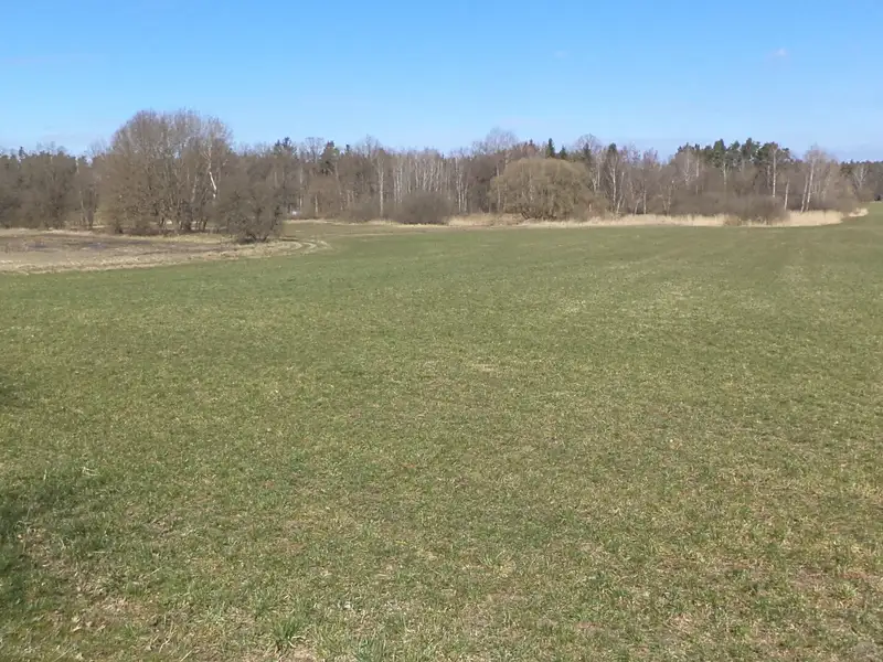 Dražba pole 5200 m², Stříbřec – náhled fotky 1