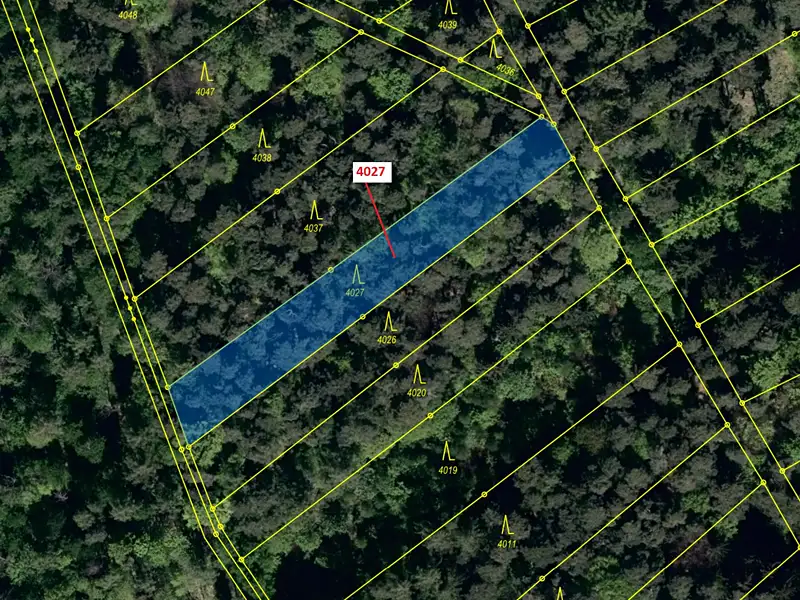 Dražba lesa 1282 m², Pitín – náhled fotky 2