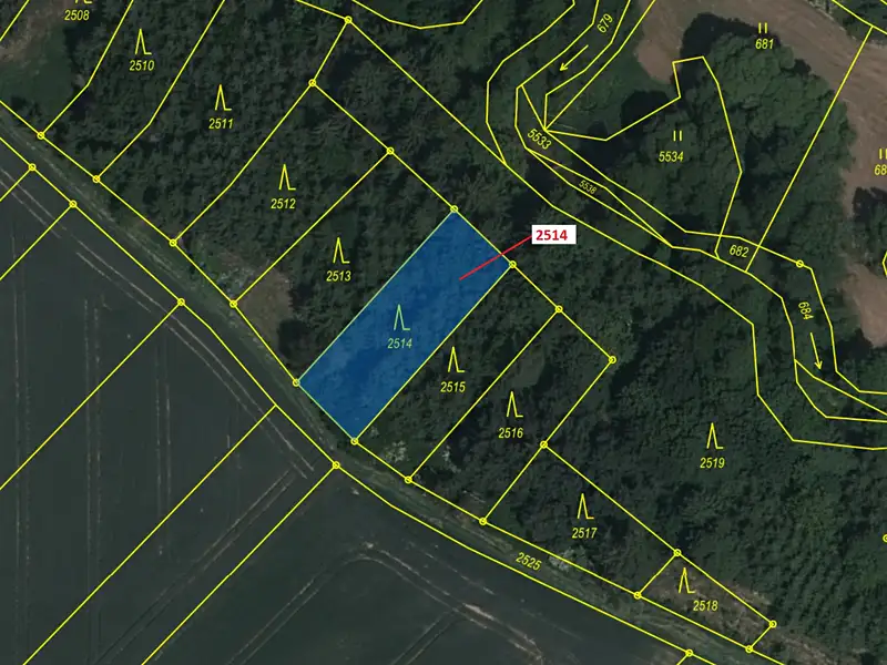 Dražba lesa 532 m², Chotěbudice – náhled fotky 2