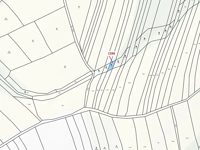 Dražba pozemku 140 m², Ludkovice – náhled fotky 3