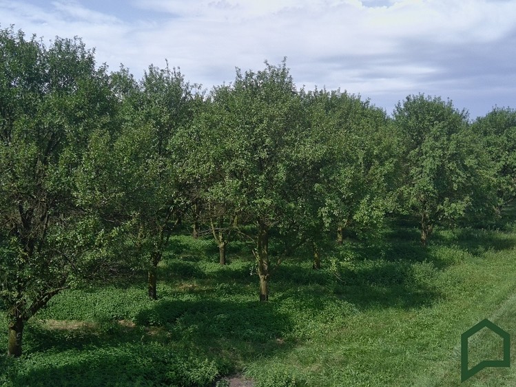 Ділянка на продаж, 5 319 м² (6 з 6)