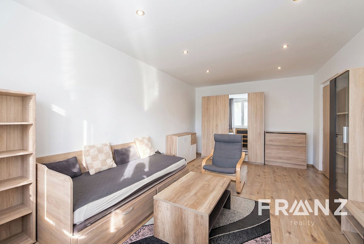 Pronájem bytu 1+1 38 m²