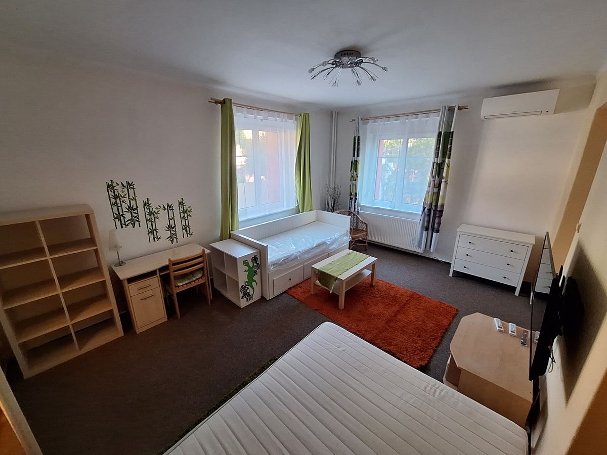 Pronájem bytu 1+1 44 m² – fotografie 4