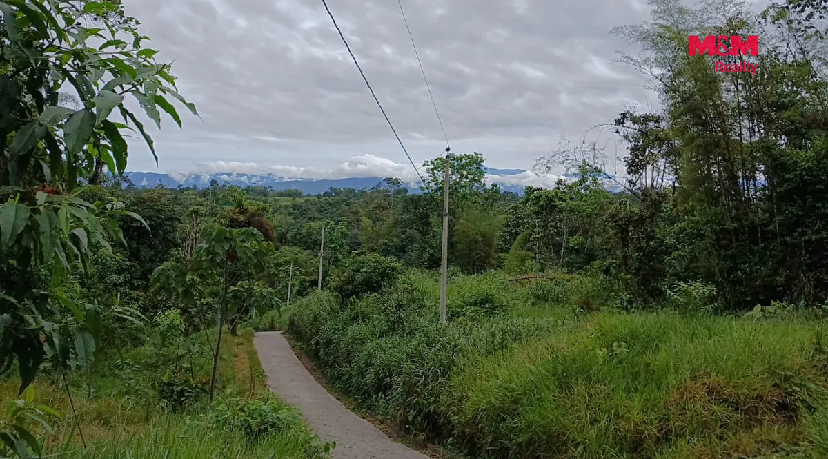 Fotka 3 z 28