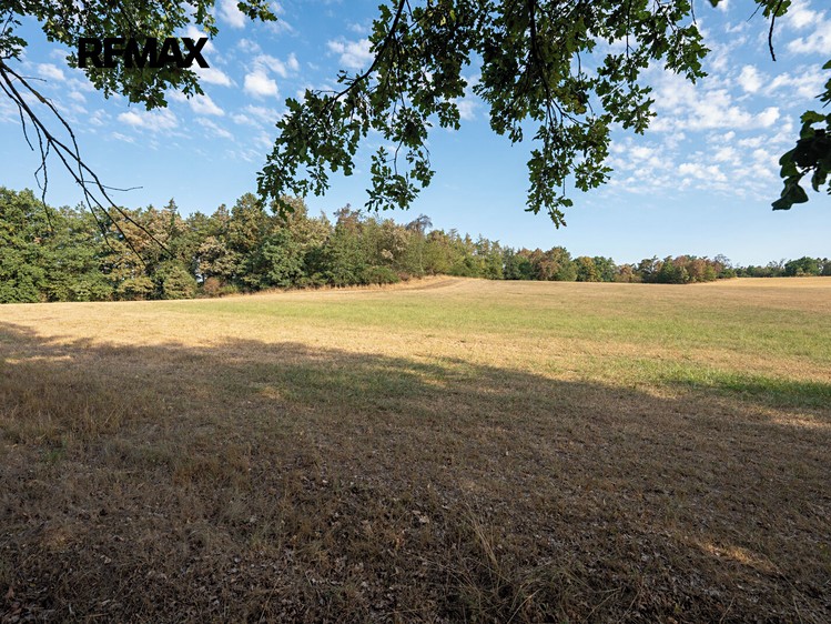 Grundstück zum Kauf, 11.767 m² (9 von 16)