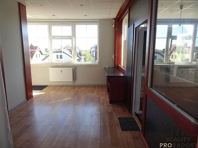 Pronájem komerčního prostoru, 205 m² (15 z 20)