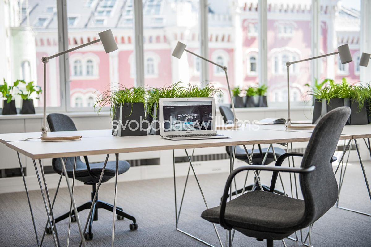 Pronájem kanceláře 453 m²
